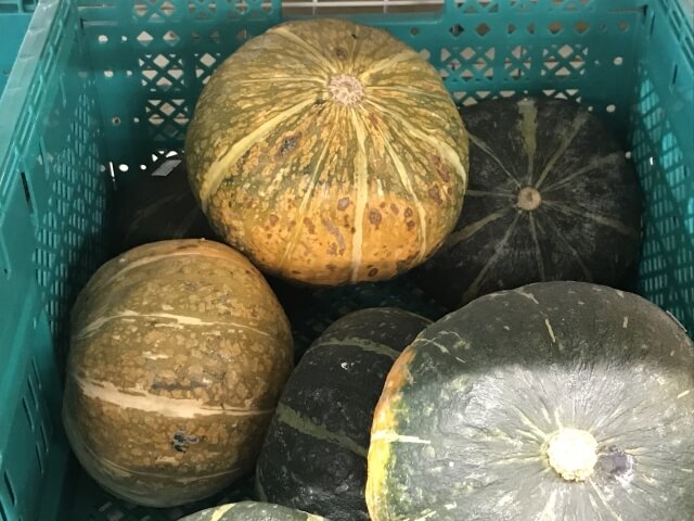 かぼちゃ